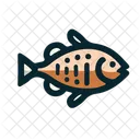 Fish Fishing Food Icon