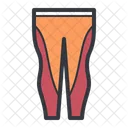 Orange-fitted-pants  Icon