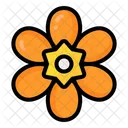 Orange Freesia  Icon