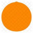 Orange Fruit  Icon