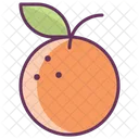 Orange Fruits Cuisine Icon