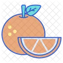 Orange Allergies Immune Icon
