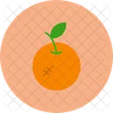 Food Background Healthy Icon