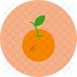 Orange  Icon