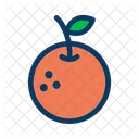 Orange Fruit Food Icon