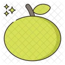 Orange Fruit Higenic Icon