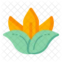 Orange Lotus  Icon