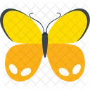 Orange Ringlet Butterfly  Icon