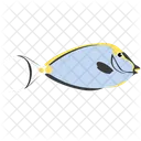Orange Stachel Einhornfisch Meerestier Tier Symbol