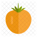 Orange Tomato  Icon