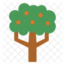 Orange Tree  Icon