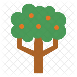 Orange Tree  Icon