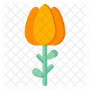 Orange Tulip  Icon