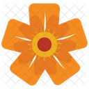 Orange Wild Flower Icon