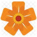 Orange Wild Flower  Icon