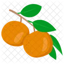 Orangen Obst Bergamotte Symbol