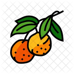 Oranges  Icon