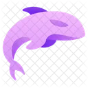 Orca Icon