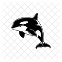 Orca Oceano Animal Ícone