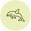 Orca Ocean Marine Icon
