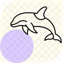 Orca Oceano Marinho Ícone