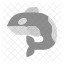 Animal Whale Simple Icon