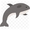 Orca Killer Whale Apex Icon