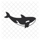 Orca Ocean Animal Icon