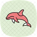 Orca Ocean Marine Icon