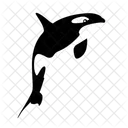 Orca Whale Killer Whale Ocean Icon