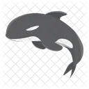 Orca Whale Mammal Icon