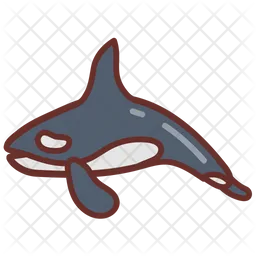 Orca whale  Icon