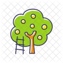 Tree Apple Tree Ladder Icon