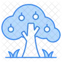 Orchard Icon