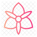 Orchid Botanical Blossom Icon