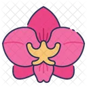 Cartoon Orchid Icon