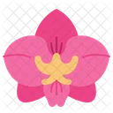 Flat Orchid Icon