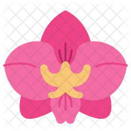 Orchid  Icon