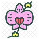 Orchid Flower Floral Icon