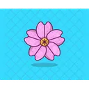Orchid Spring Flower Agriculture Icon