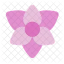 Orchid Flower Floral Icon