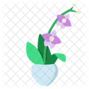 Orchid Flower Blossom Icon