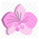 Orchid Flower Flowers Icon
