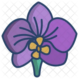 Orchid  Icon