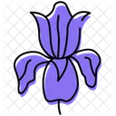 Orchid Orchid Flower Blossom Icon