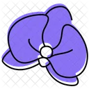 Orchid Orchid Flower Phalaenopsis Icon