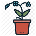 Orchid Flower Plant Icon