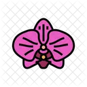 Orchid Blossom Spring Icon