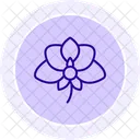 Orchid flower  Icon