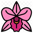 Orchid Flower Perfume Icon